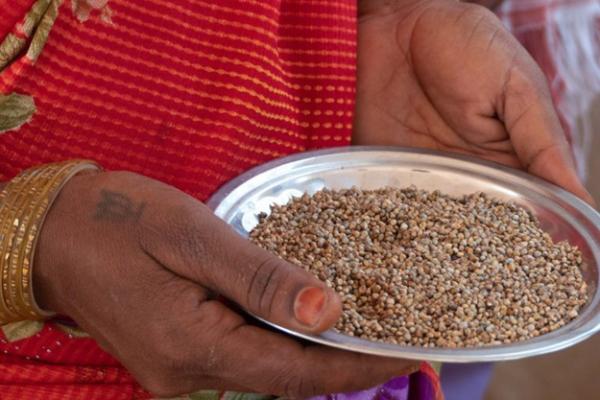 Millet Matters: From Farm to Table for a Healthier Life
