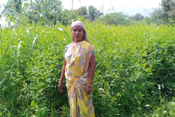 Growing Organic, Growing a Better Future